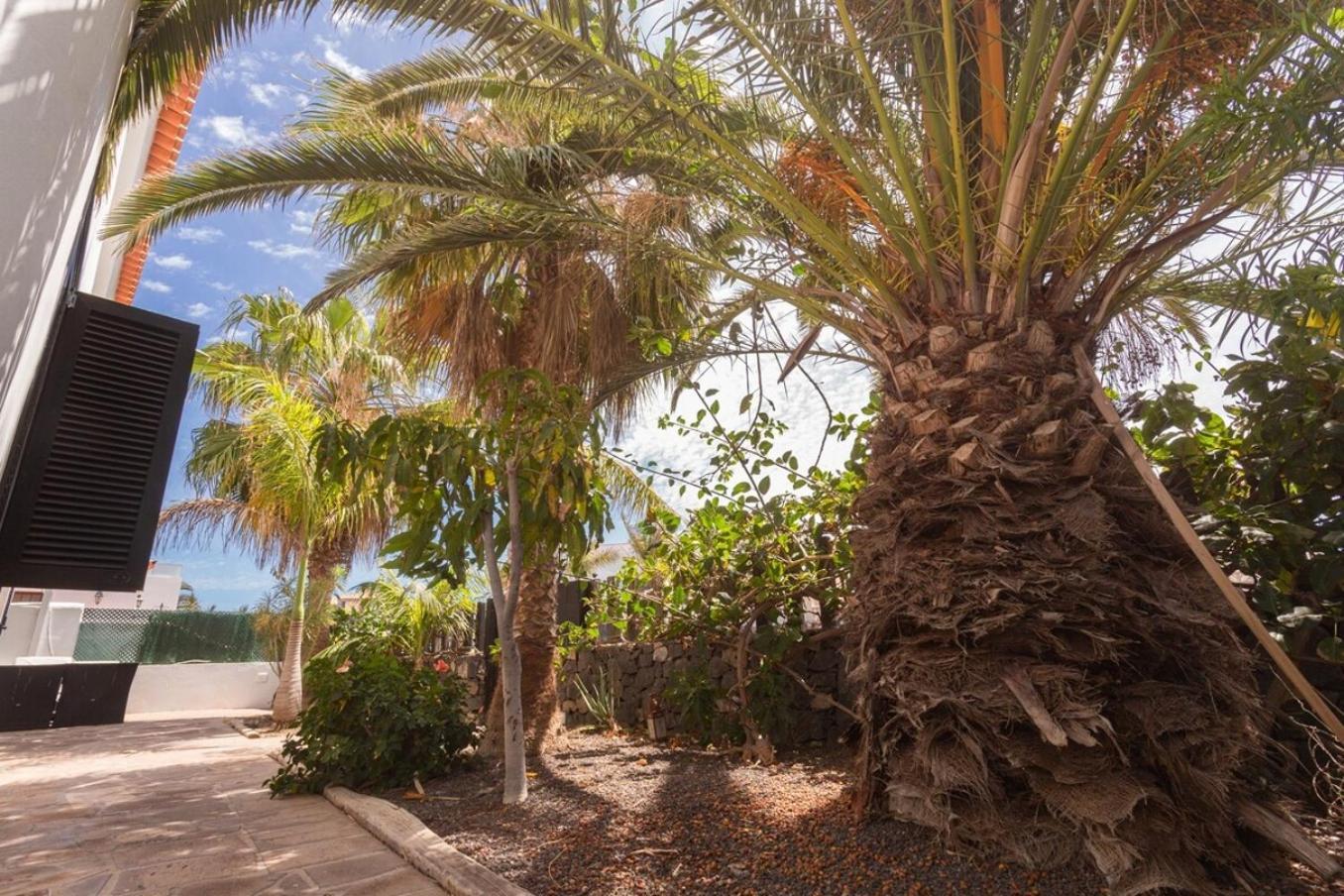 La Quinta - Wonderful 4 Bed Villa-Private Pool San Miguel de Abona Kültér fotó